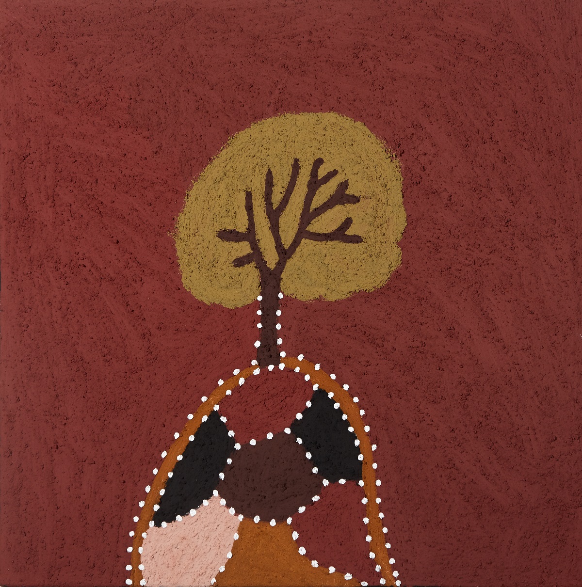 Thoowoonggeny (Celtis Tree)