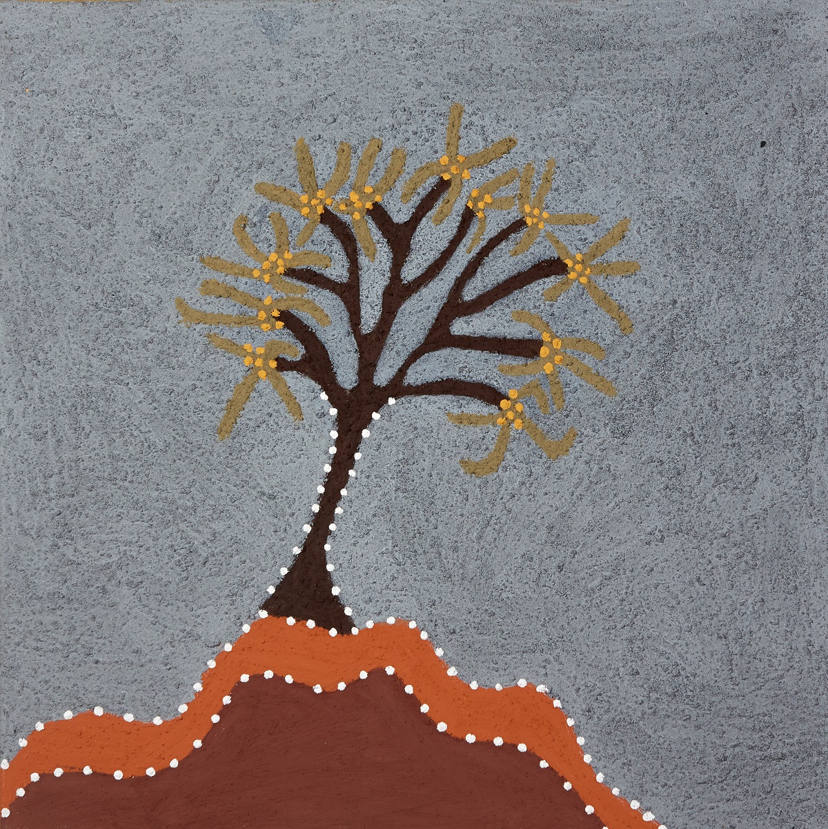 Jirrindiny (Hakea species)