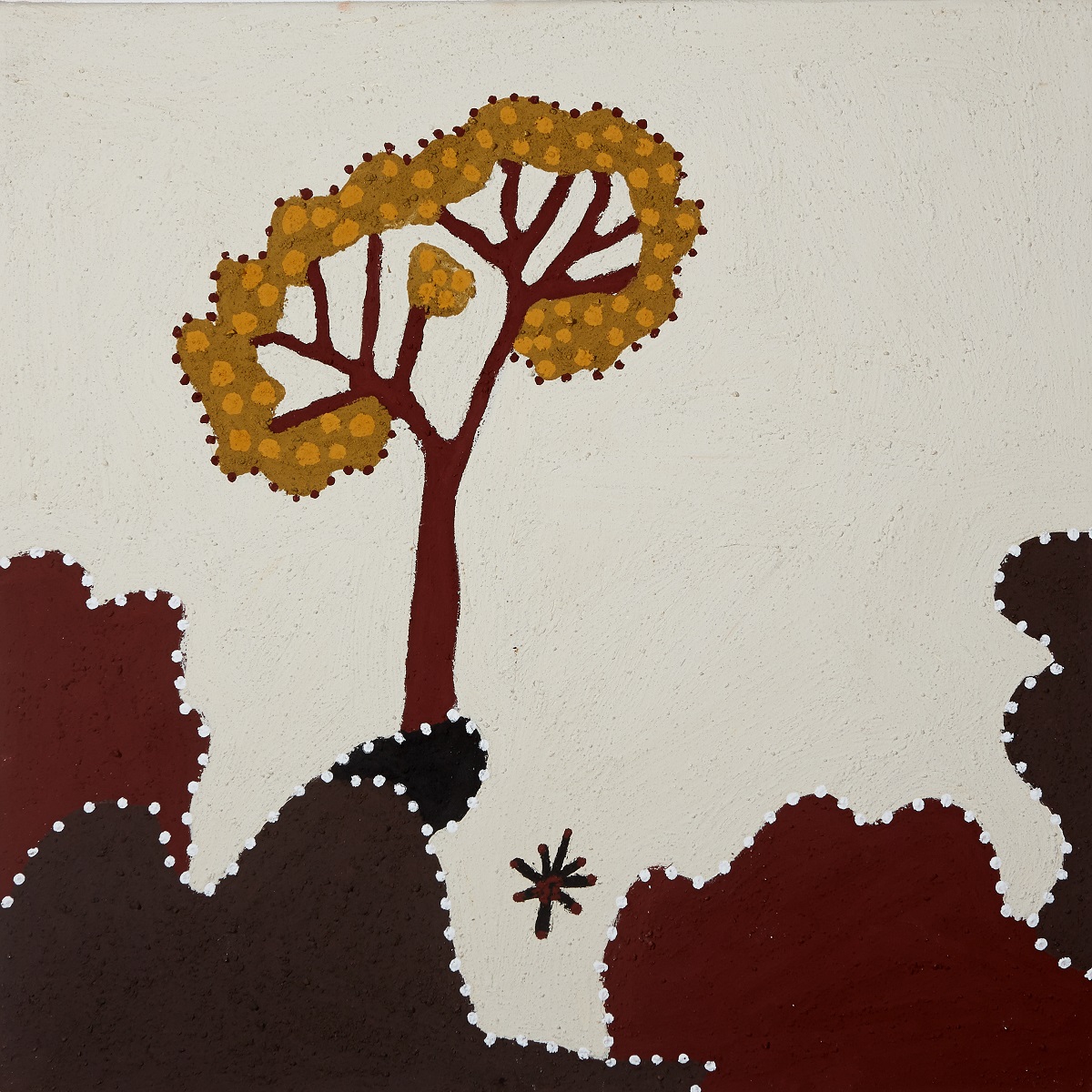 Mawoorroony (Bloodwood)