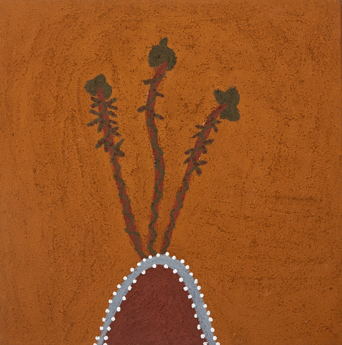 Waramboorrji (Snake Vine)