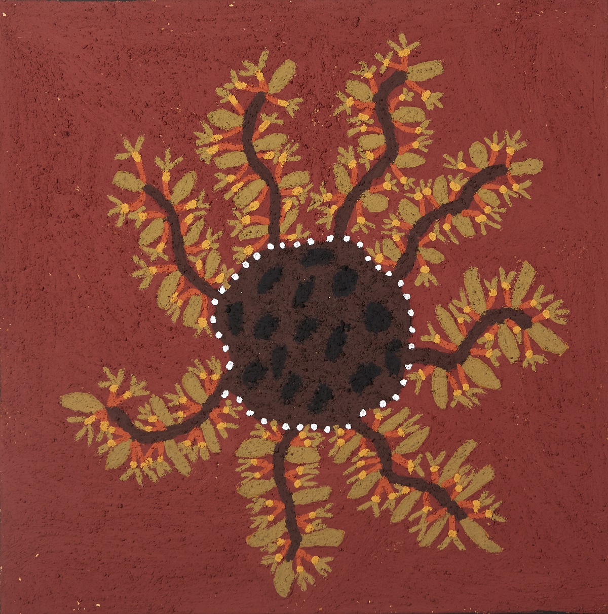 Manthoornji (Mistletoe)