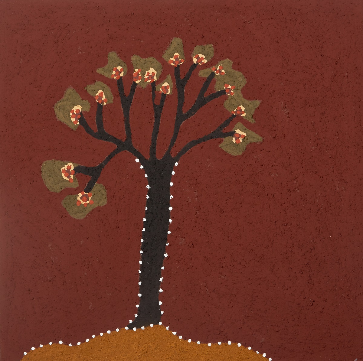 Dayimbalji (Red Flowering Kurrajong)