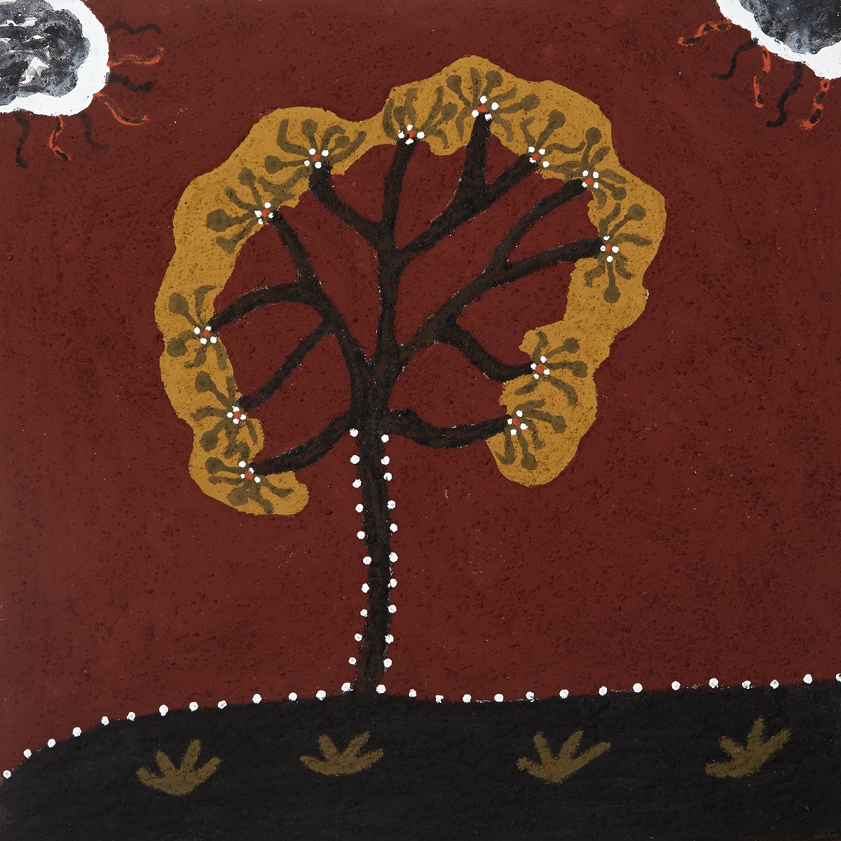 Joogoorrool (Bush Orange)