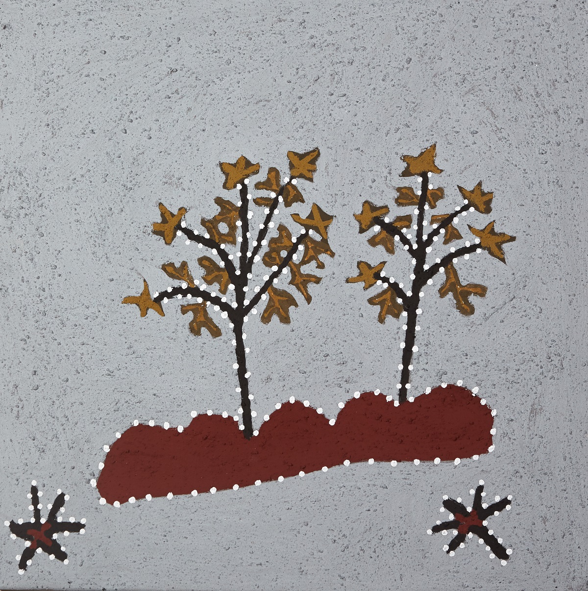 Goonjal (Kapok Bush)