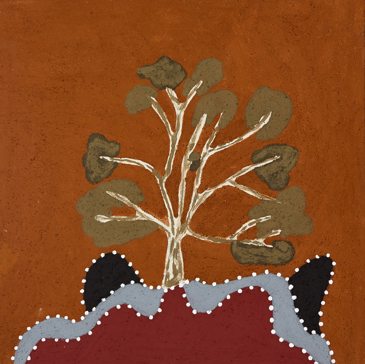 Banggoonji (Rock Fig)