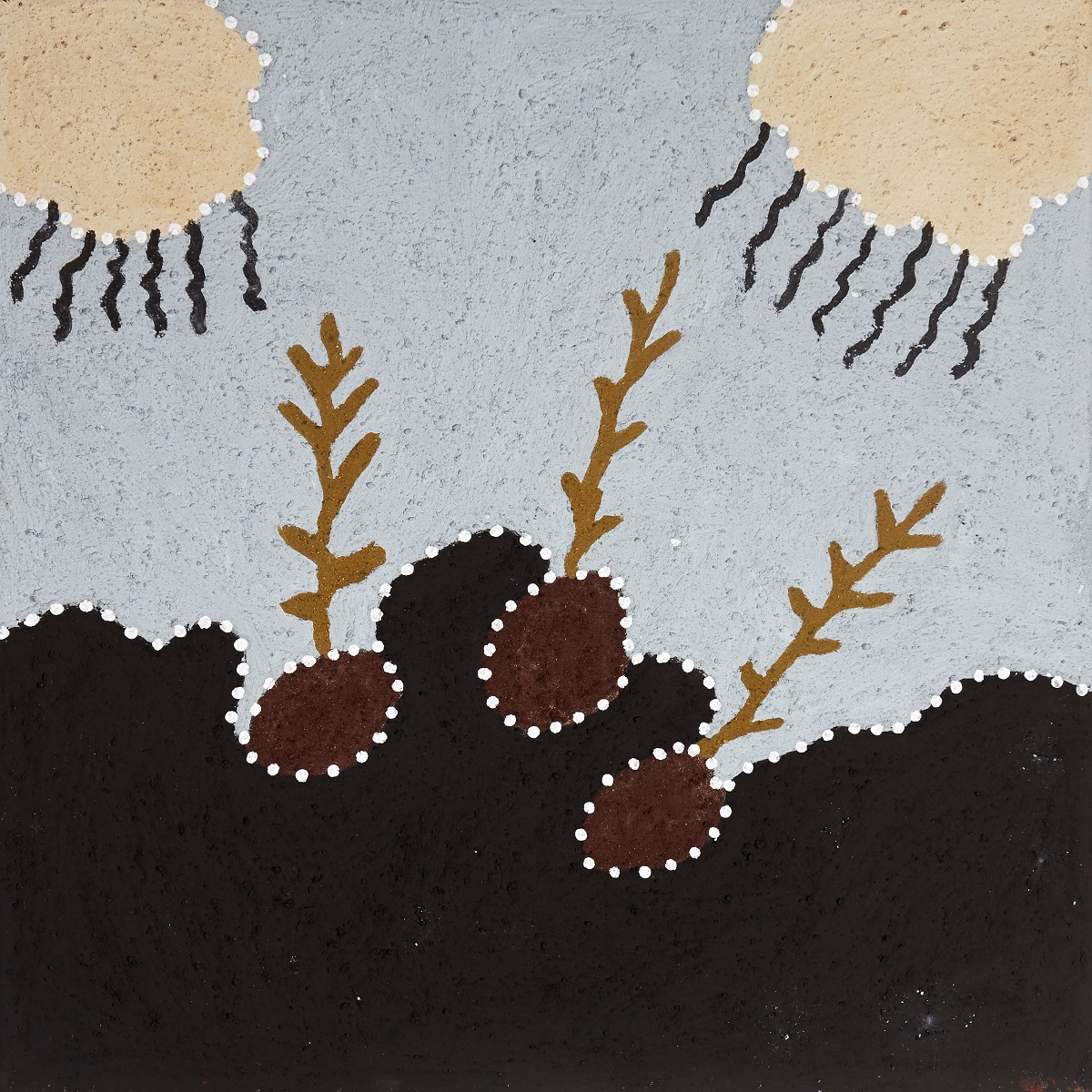 Banariny (Bush Potato)