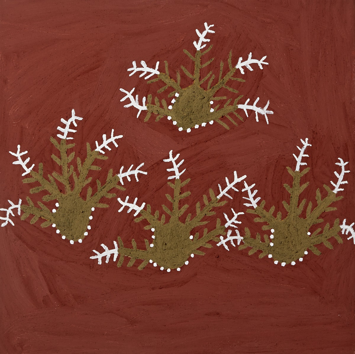 Nyiyirriny (Common Spinifex)