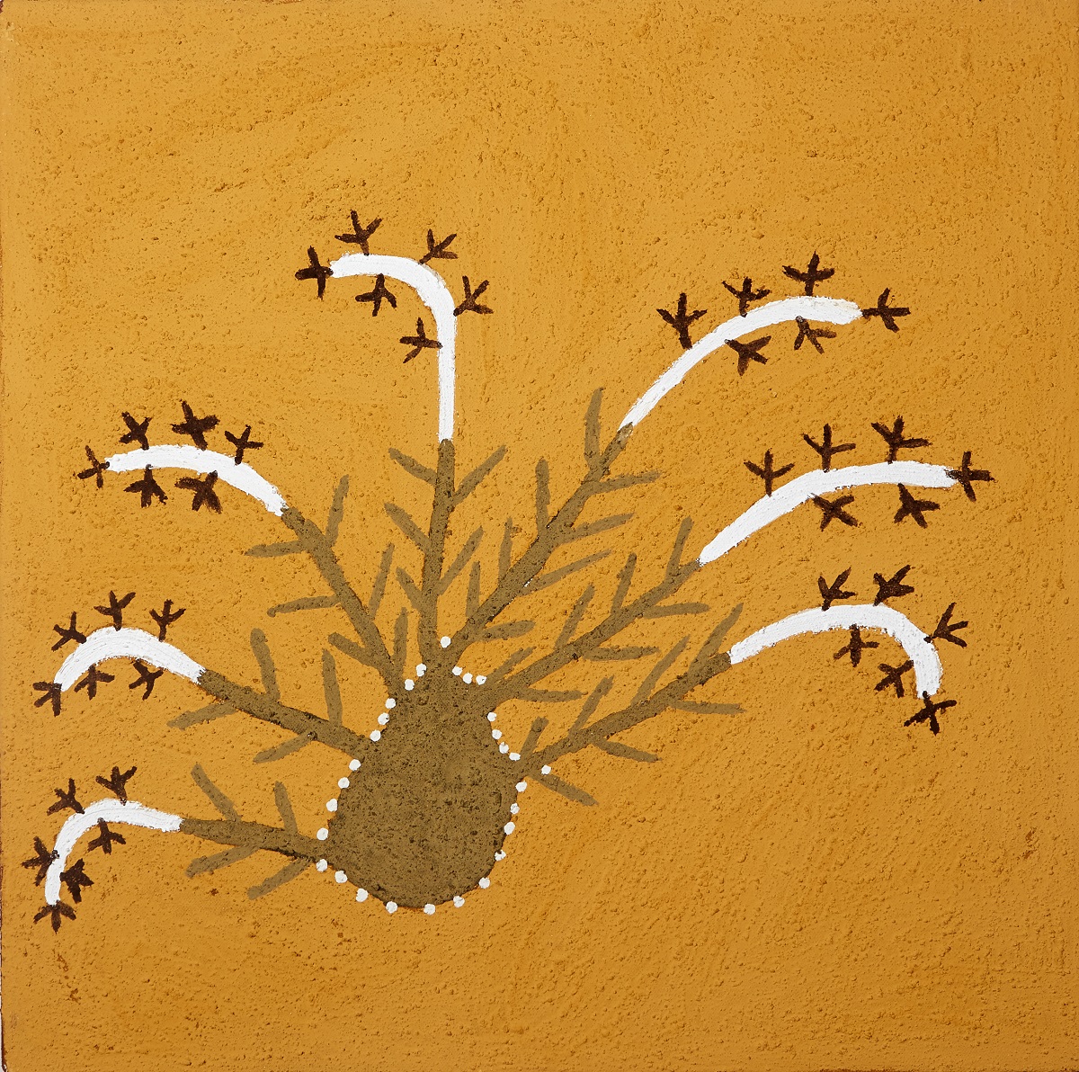 Garral-garralji (Hard Prickly Spinifex)