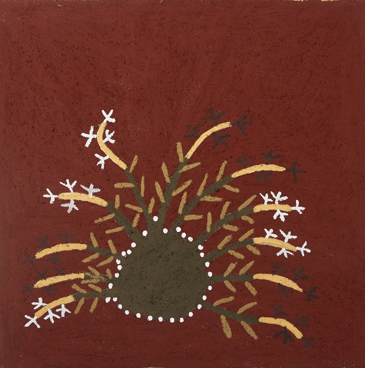 Gelerneny / Miloowoony (Tall Strong Smelling Spinifex)