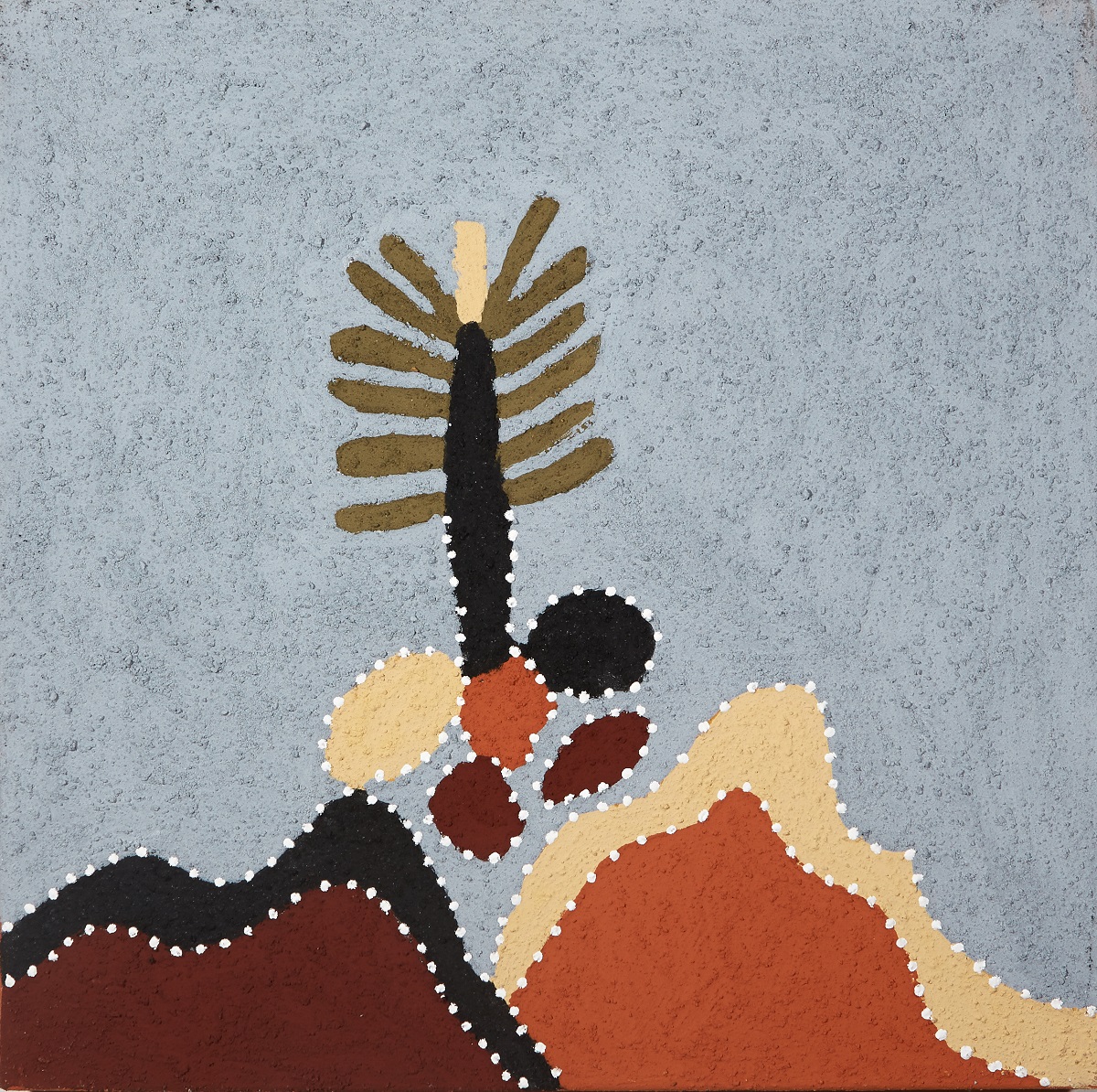 Nganthanji (Cycad Palm)