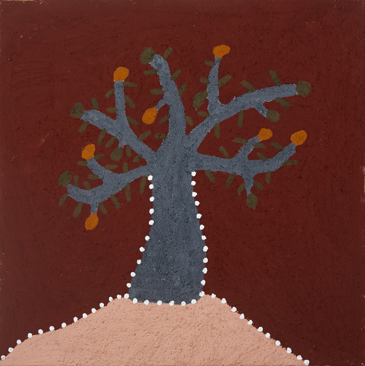 Joomooloony mayi-bany (Boab Tree with Nuts)