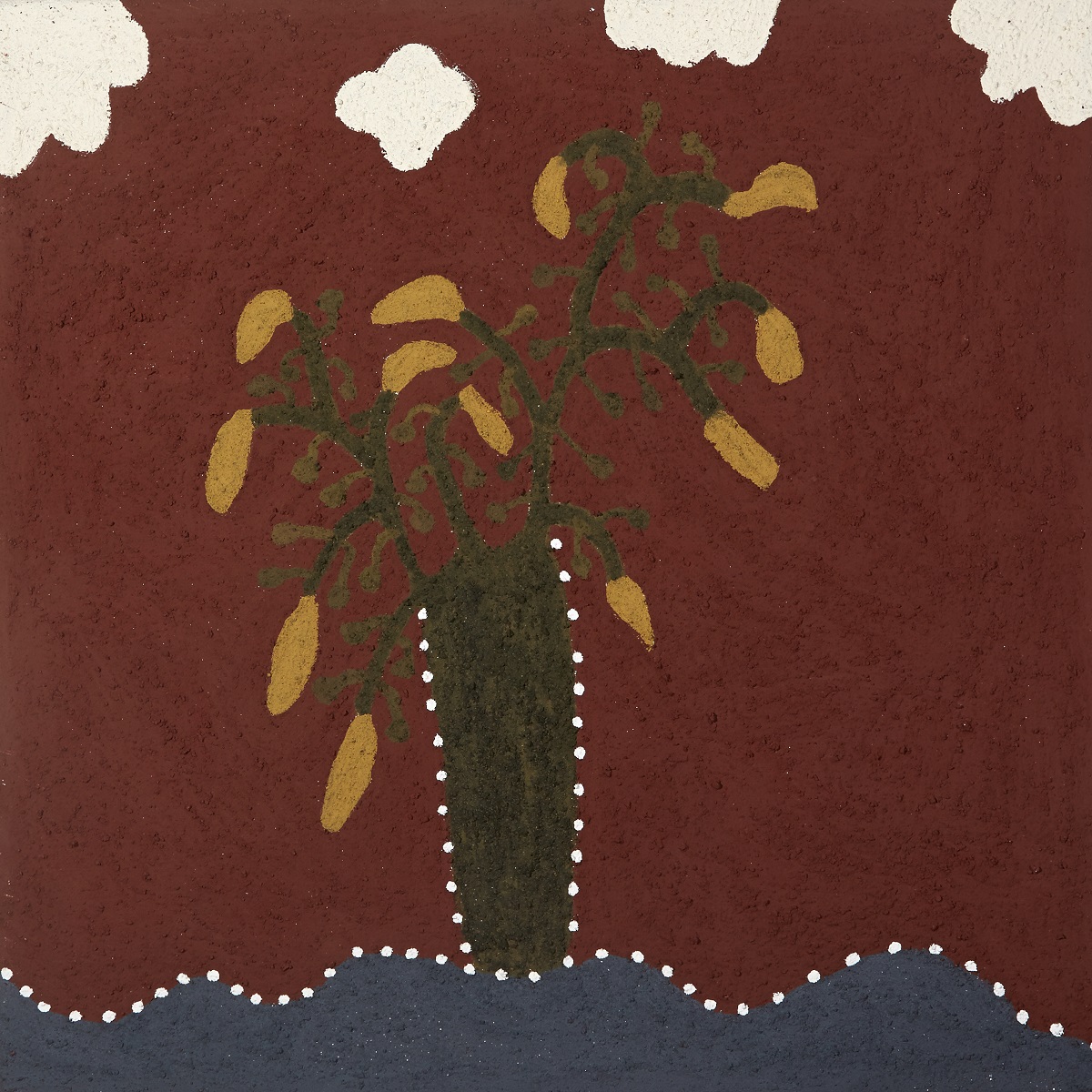 Ganambiny (Fig species)