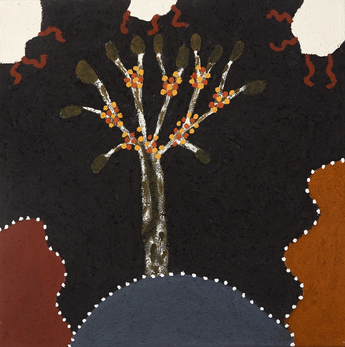 Jawoonany (Cluster Fig)