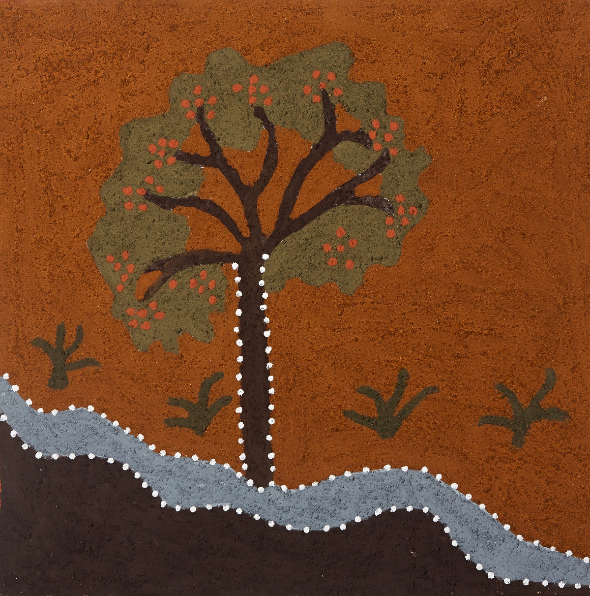 Ngimilil (Leichhardt Tree)