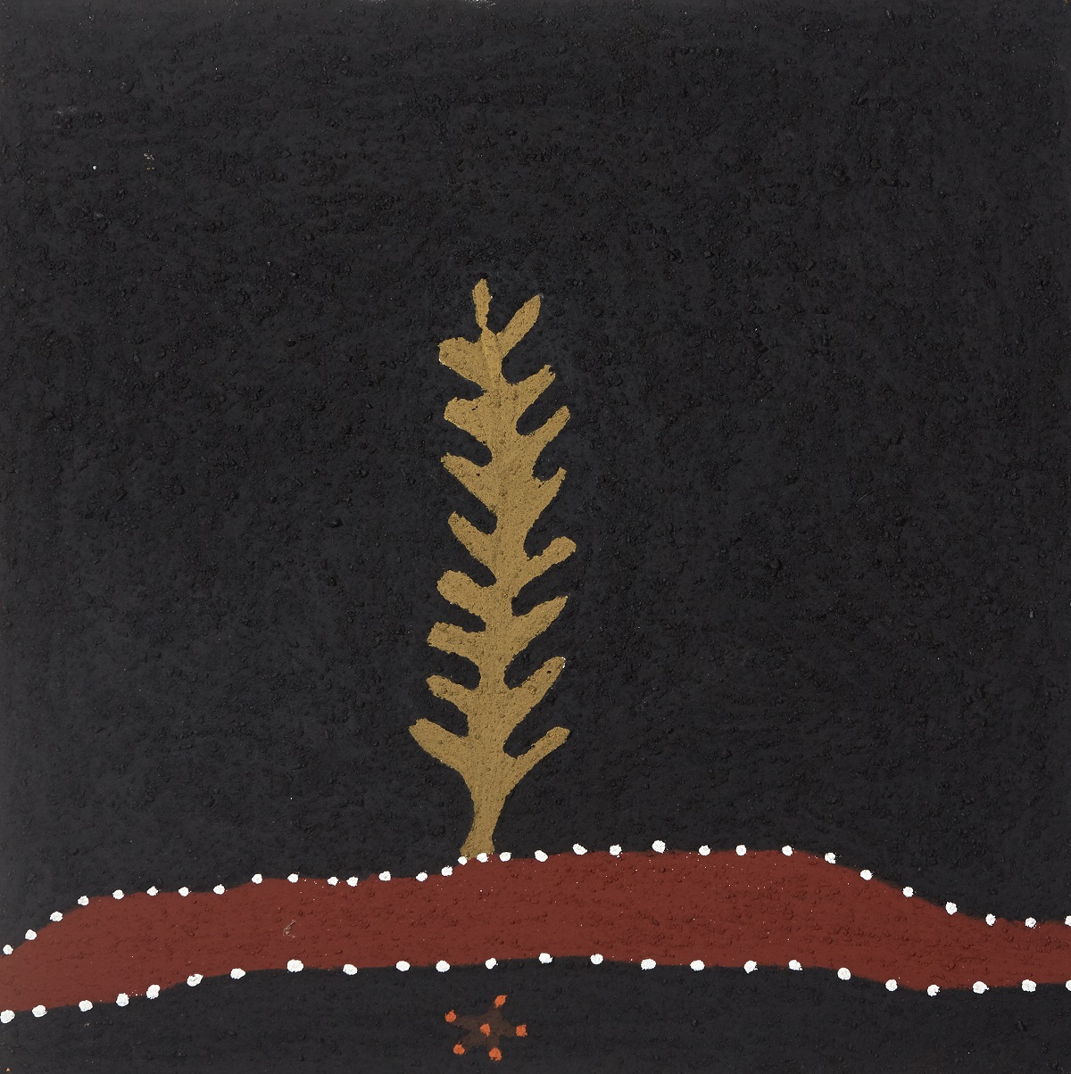 Manyanyiny (Medicinal herb species)