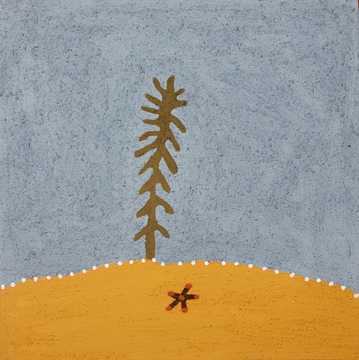 Gooroongoony (Medicinal herb species)