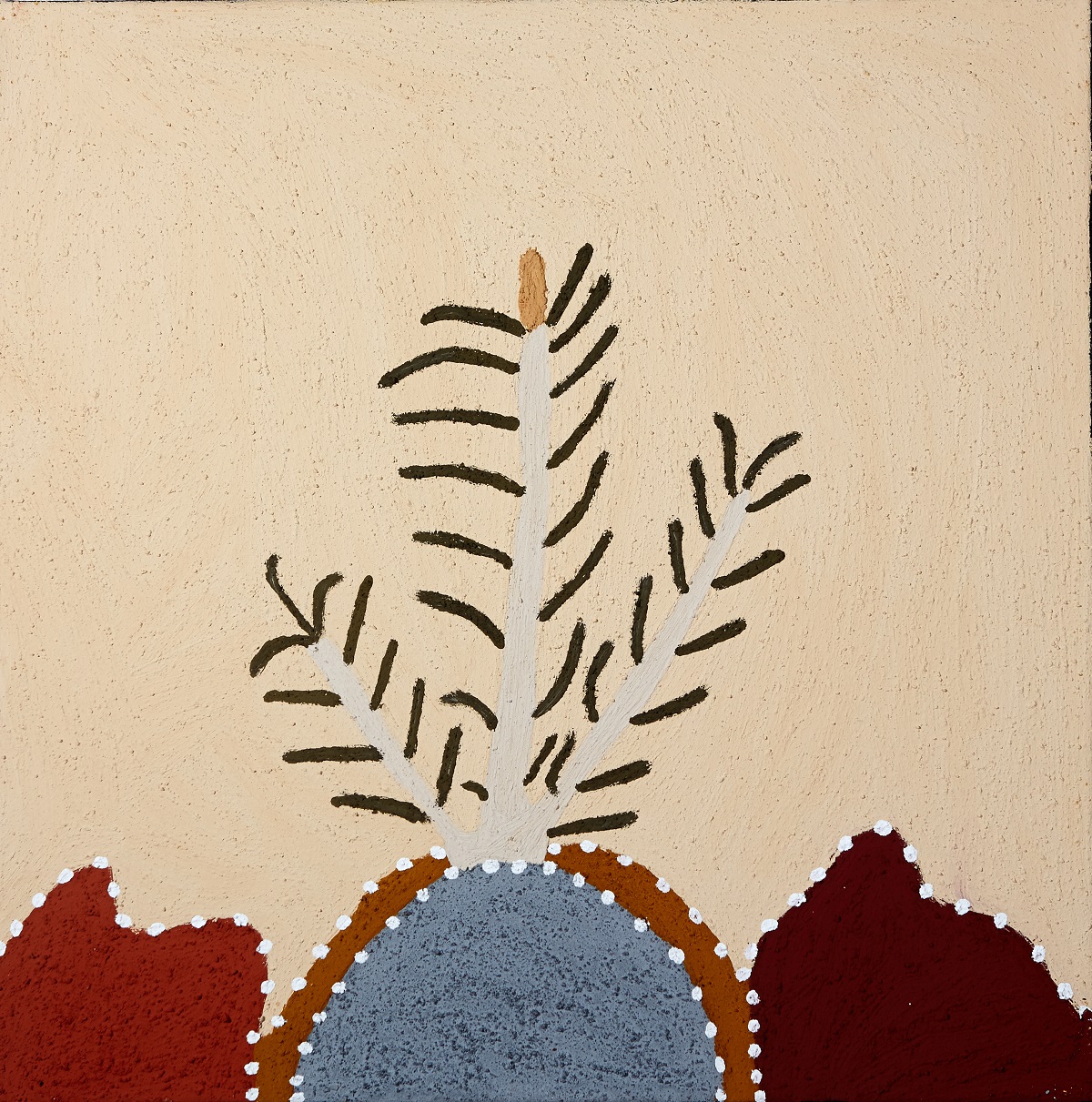 Gamanggarrji (Bamboo)