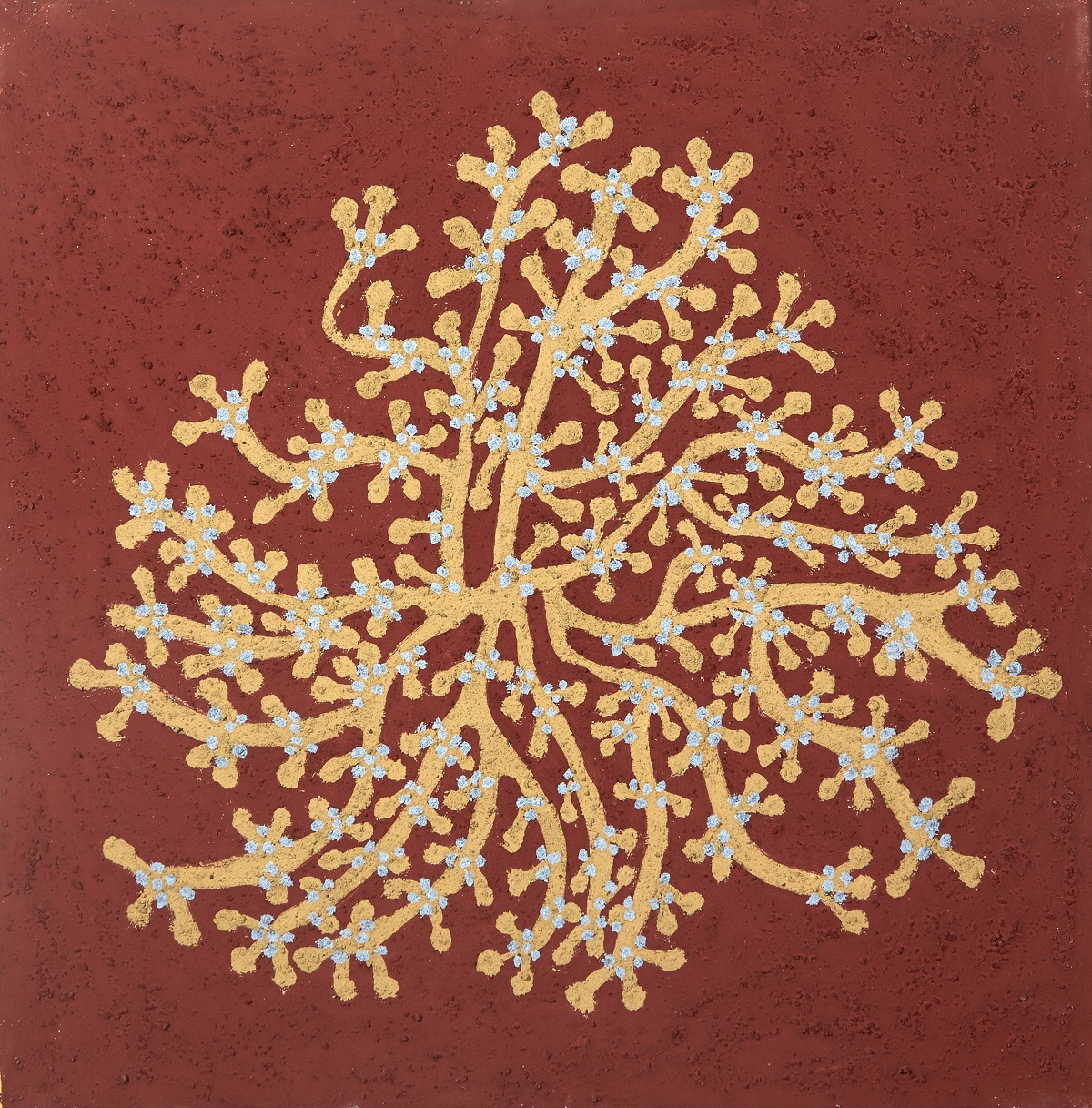 Binggoonyel (Bush Tobacco)