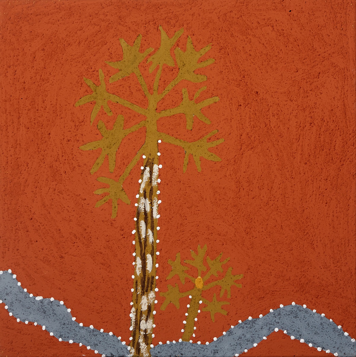 Yingajalil (Livistona Palm)