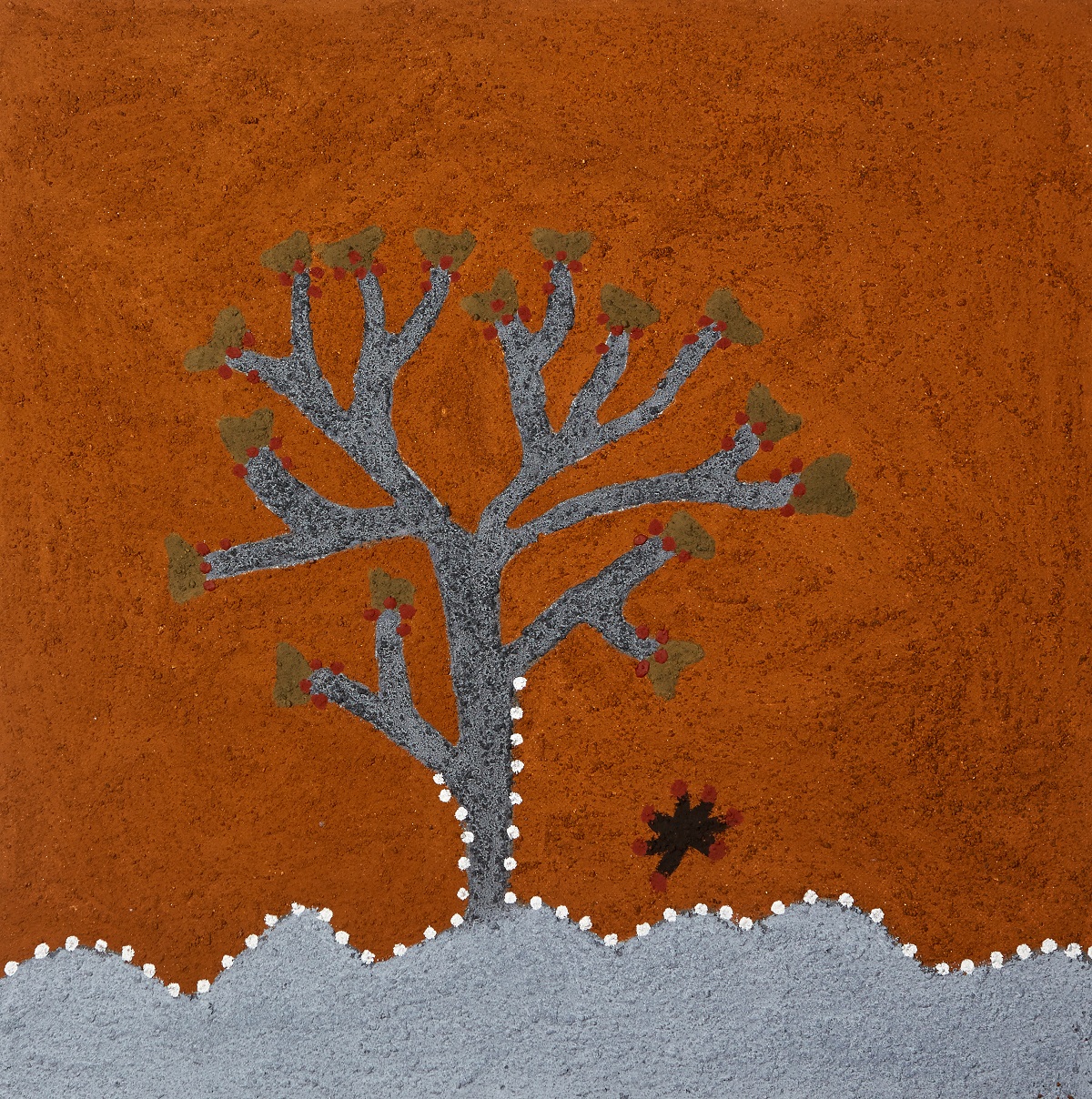 Garndiwarlel (Bat’s Wing Coral Tree)