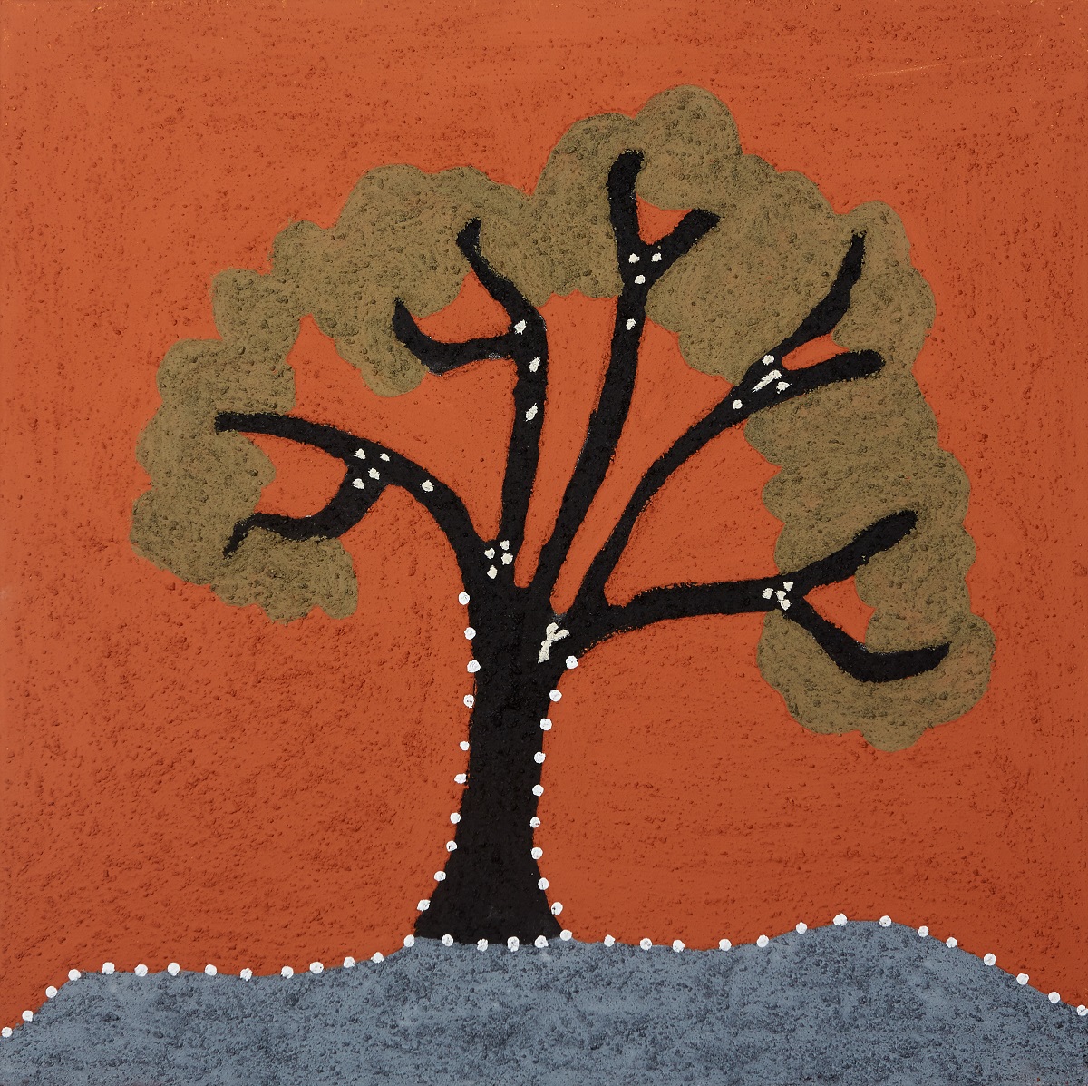 Nyaarndiny (Terminalia ‘Gum’ Tree)