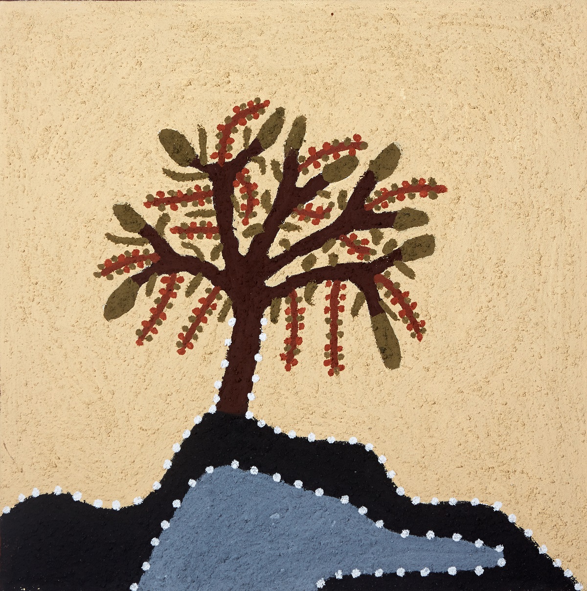 Mangoonji (River Mangrove)