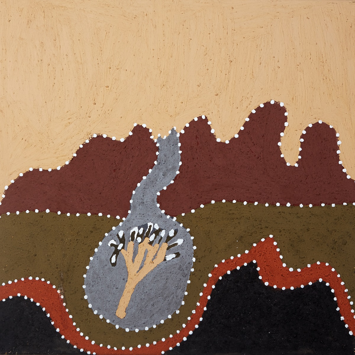 Wirrwirrel (White Dragon Tree)