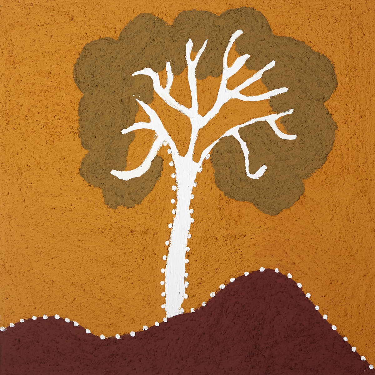 Thelinythelinyji (Mountain Bloodwood)